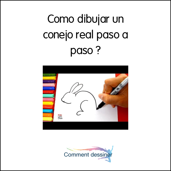 Como dibujar un conejo real paso a paso